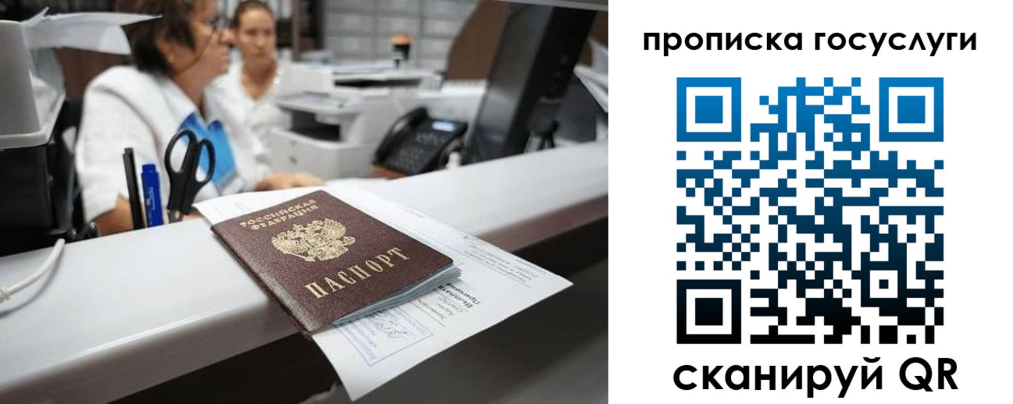 где прописаться в Курской области