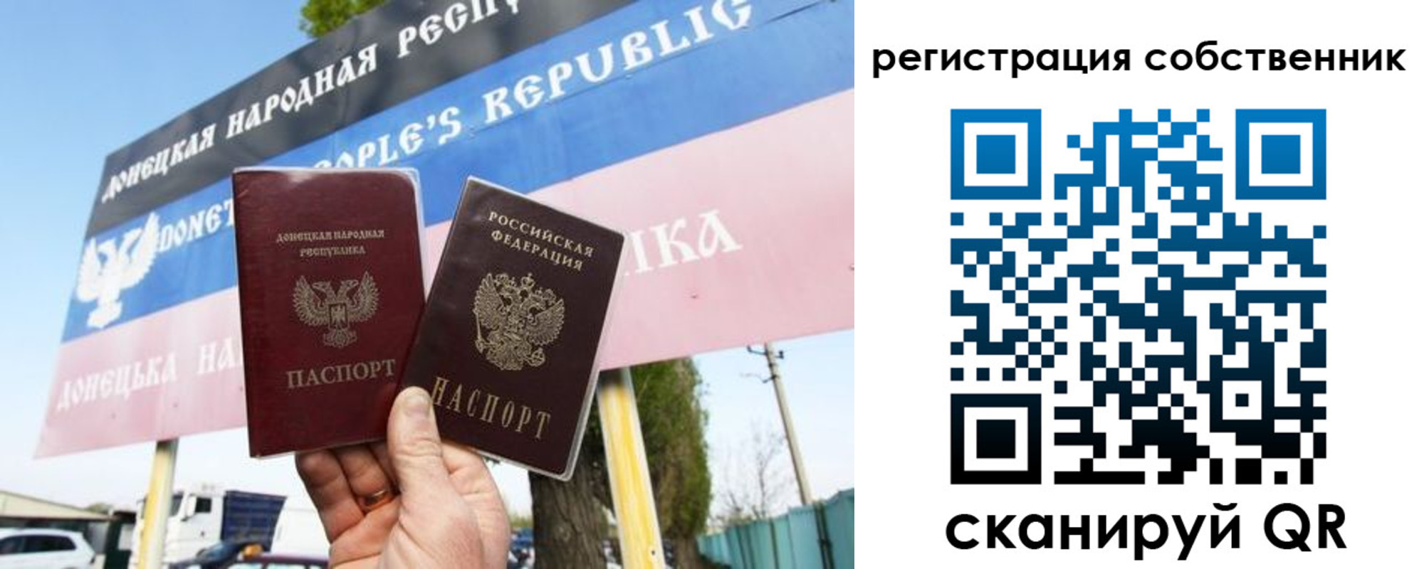 временная регистрация поиск в Курской области